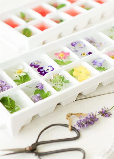 how-to-make-flower-ice-cubes-baking-for-friends image