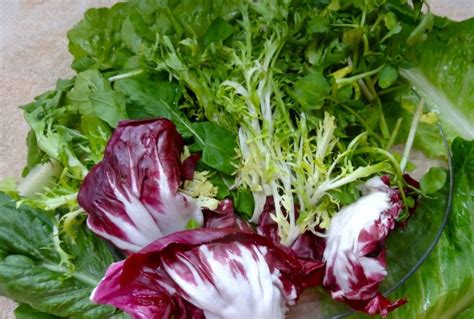 salad-of-bitter-greens-and-4-dressings-jamie-geller image