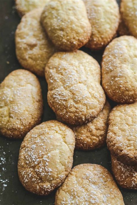 italian-lady-finger-cookies-savoiardi-cookies-savoring image