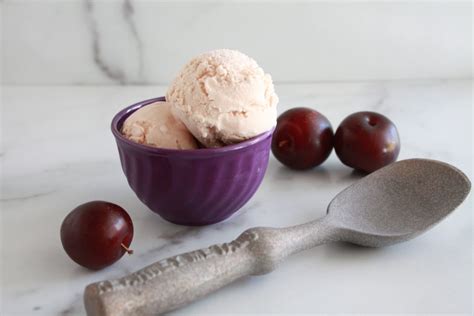 plum-ice-cream-the-short-order-cook image