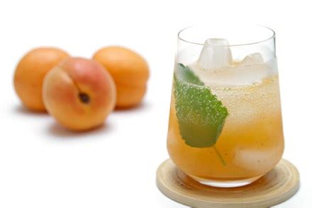 apricot-mojito-with-lemon-balm-recipe-food-style image