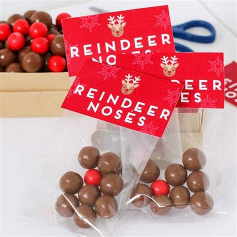 reindeer-noses-free-christmas-printable-gift-bag image