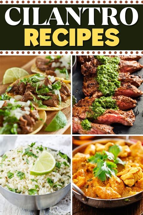 25-fresh-cilantro-recipes-with-so-much-flavor-insanely-good image