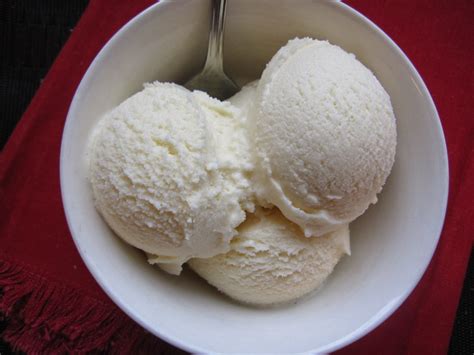 vanilla-pudding-ice-cream-a-taste-of-madness image