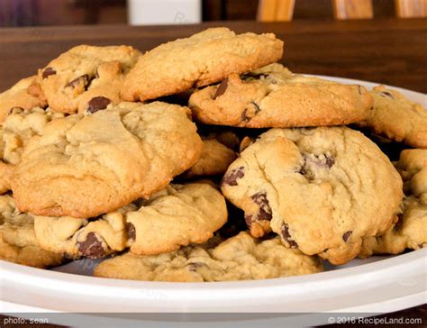 toms-applesauce-chocolate-chip-cookies image