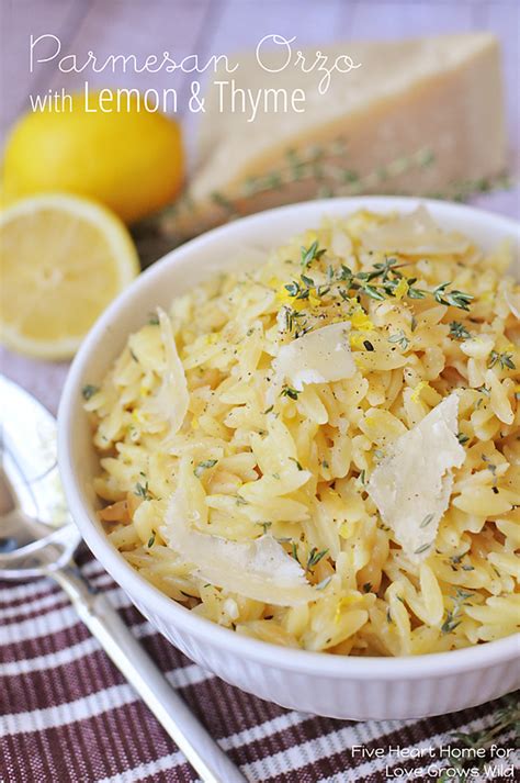 parmesan-orzo-with-lemon-and-thyme-love-grows image
