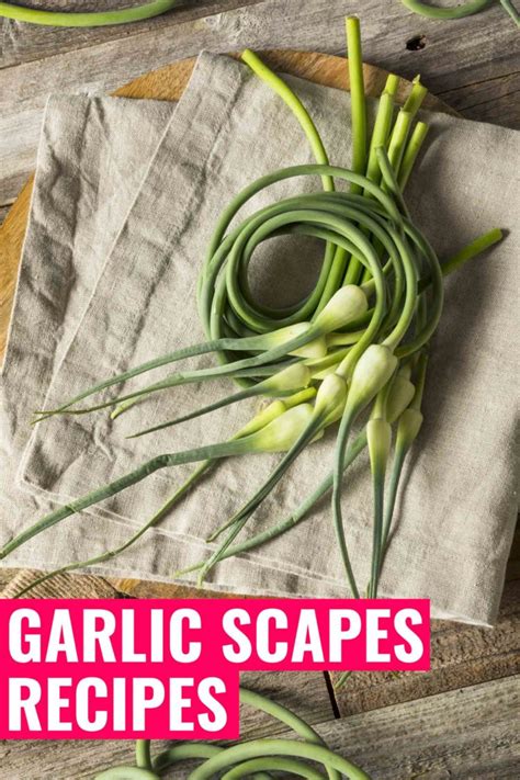 13-garlic-scapes-recipes-you-need-to-try-bacon-is-magic image