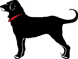 the-black-dog-tavern image