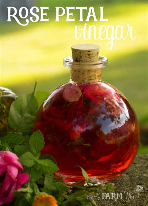 rose-petal-vinegar-7-ways-to-use-it-the-nerdy-farm image