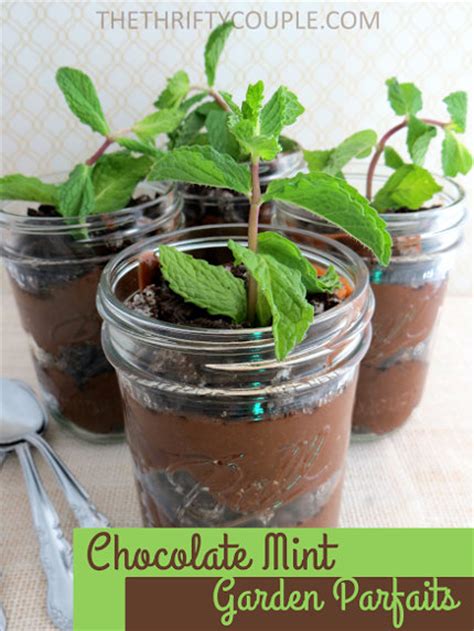 chocolate-mint-garden-parfaits-dessert-recipe-dessert image