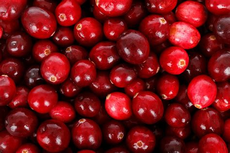 favorite-cranberry-recipes-holiday-dishes-new image