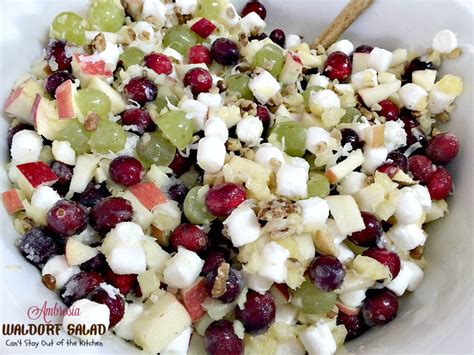 ambrosia-waldorf-salad-cant-stay-out-of-the-kitchen image
