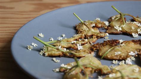 elderflower-fritters-recipe-edible-wild-food image