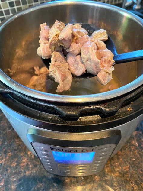 tender-instant-pot-chicken-gizzards-melanie-cooks image