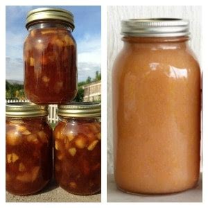 6-best-apple-canning-recipes-creative-homemaking image