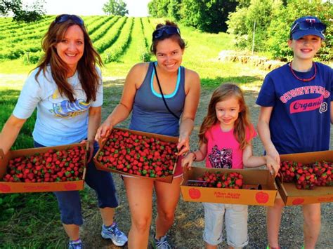 easy-strawberry-rhubarb-freezer-jam-a-farmgirls image