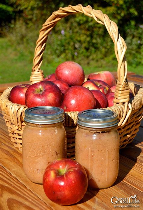 homemade-applesauce-for-canning-grow-a-good-life image