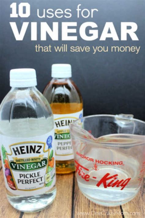 vinegar-uses-10-helpful-uses-for-vinegar-one-crazy image