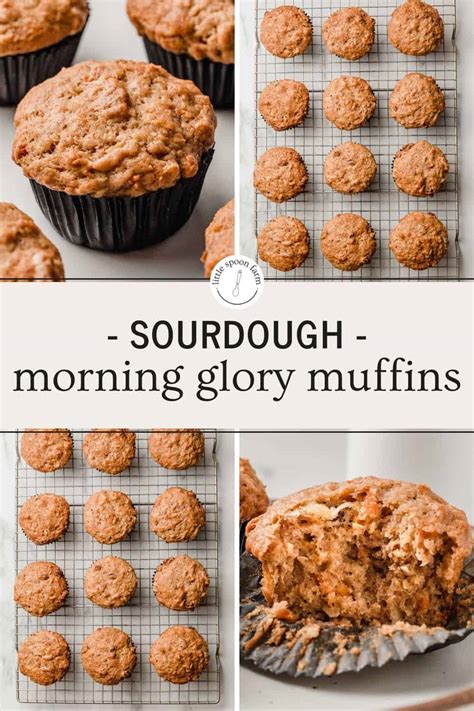 sourdough-morning-glory-muffins-little-spoon-farm image