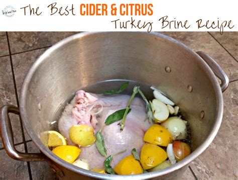 the-best-cider-citrus-turkey-brine-recipe-that-is image