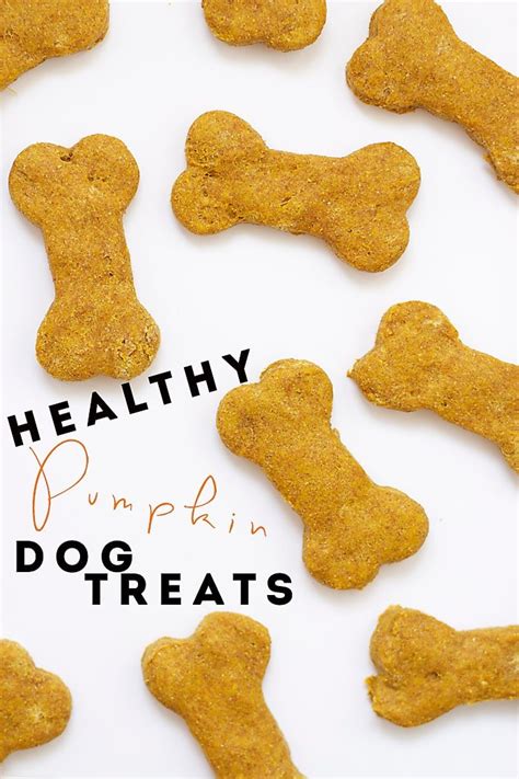 healthy-pumpkin-dog-treats-food-with-feeling image