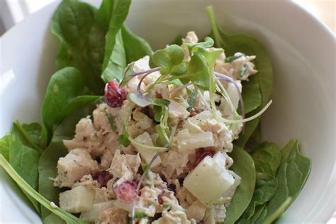 pomegranate-chicken-salad-the-dizzy-cook image