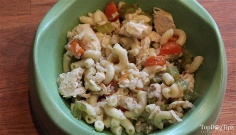 best-homemade-dog-food-recipe-with-chicken-and-rice image
