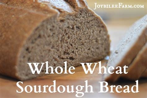 whole-wheat-sourdough-bread image