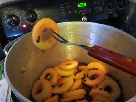 culinary-adventures-spiced-apple-rings image