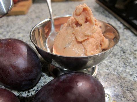 plum-gelato-sicilian-style-ice-cream-nation image