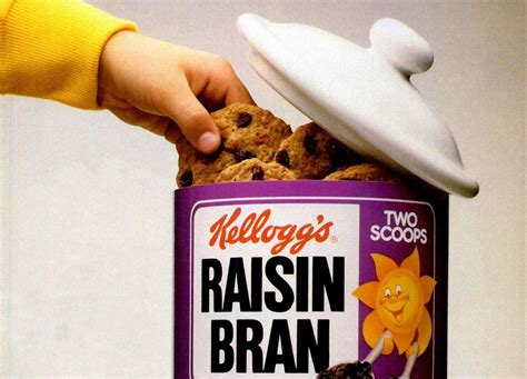 raisin-bran-cookies-a-giant-size-recipe-from-1998-plus image