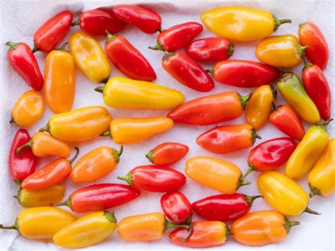 10-ways-to-use-sweet-mini-peppers-food-network image