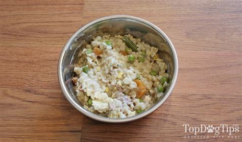 recipe-healthiest-homemade-dog-food-with-ground image