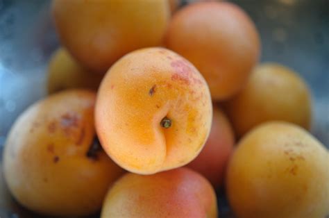 fresh-apricot-crisp-healthy-green-kitchen image