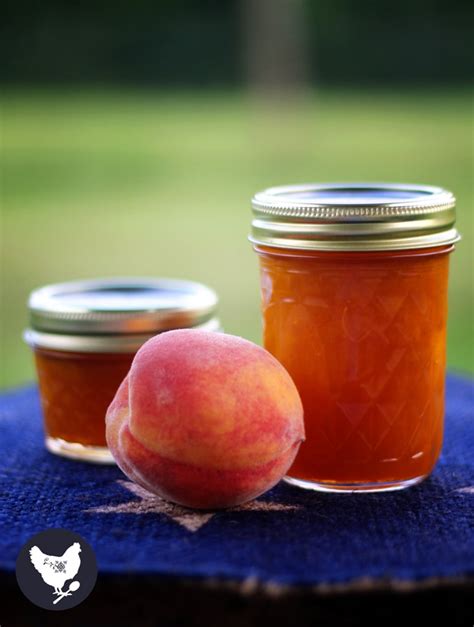 peach-habanero-jam-a-good-life-farm image