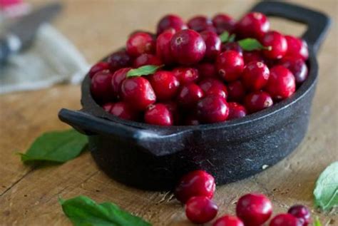 cranberry-and-golden-raisin-cream-muffins image