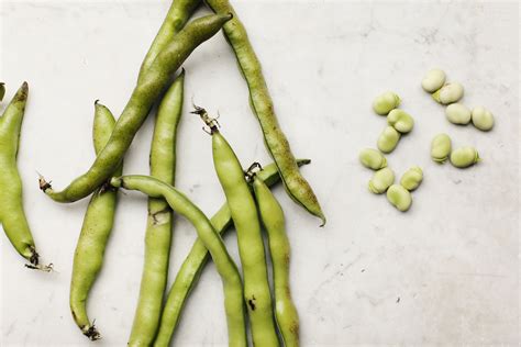 8-delicious-ways-to-use-spring-fava-beans-the image