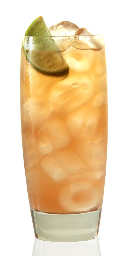 top-10-southern-comfort-drinks-with-recipes-only image