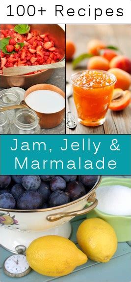 100-homemade-jam-jelly-marmalade image