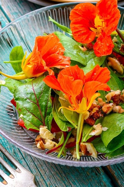 make-a-pretty-summer-salad-of-nasturtium-leaves image