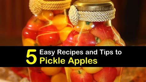 5-easy-recipes-and-tips-to-pickle-apples-tips-bulletin image