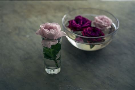 how-to-buy-rose-water-the-spruce-eats image
