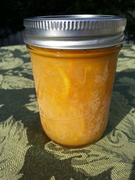satsuma-marmalade-pomonas-universal-pectin image