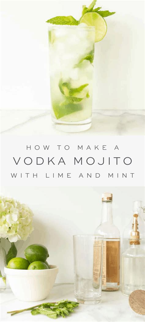 the-best-vodka-mojito-julie-blanner image