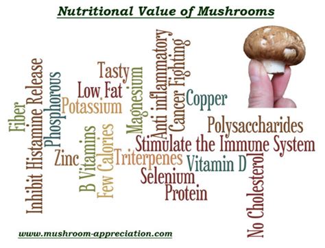 the-nutritional-value-of-mushrooms-mushroom image