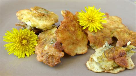 dandelion-fritters-recipe-edible-wild-food image