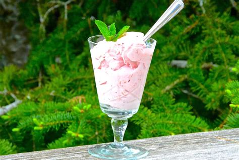 strawberry-rhubarb-ice-cream-weekend-at-the-cottage image