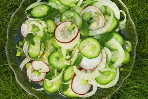 fennel-and-cucumber-salad-jamie-geller image