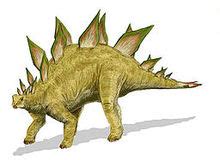 stegosaurus-wikipedia image