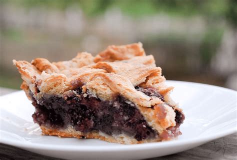 mulberry-pie-recipe-reformation-acres image